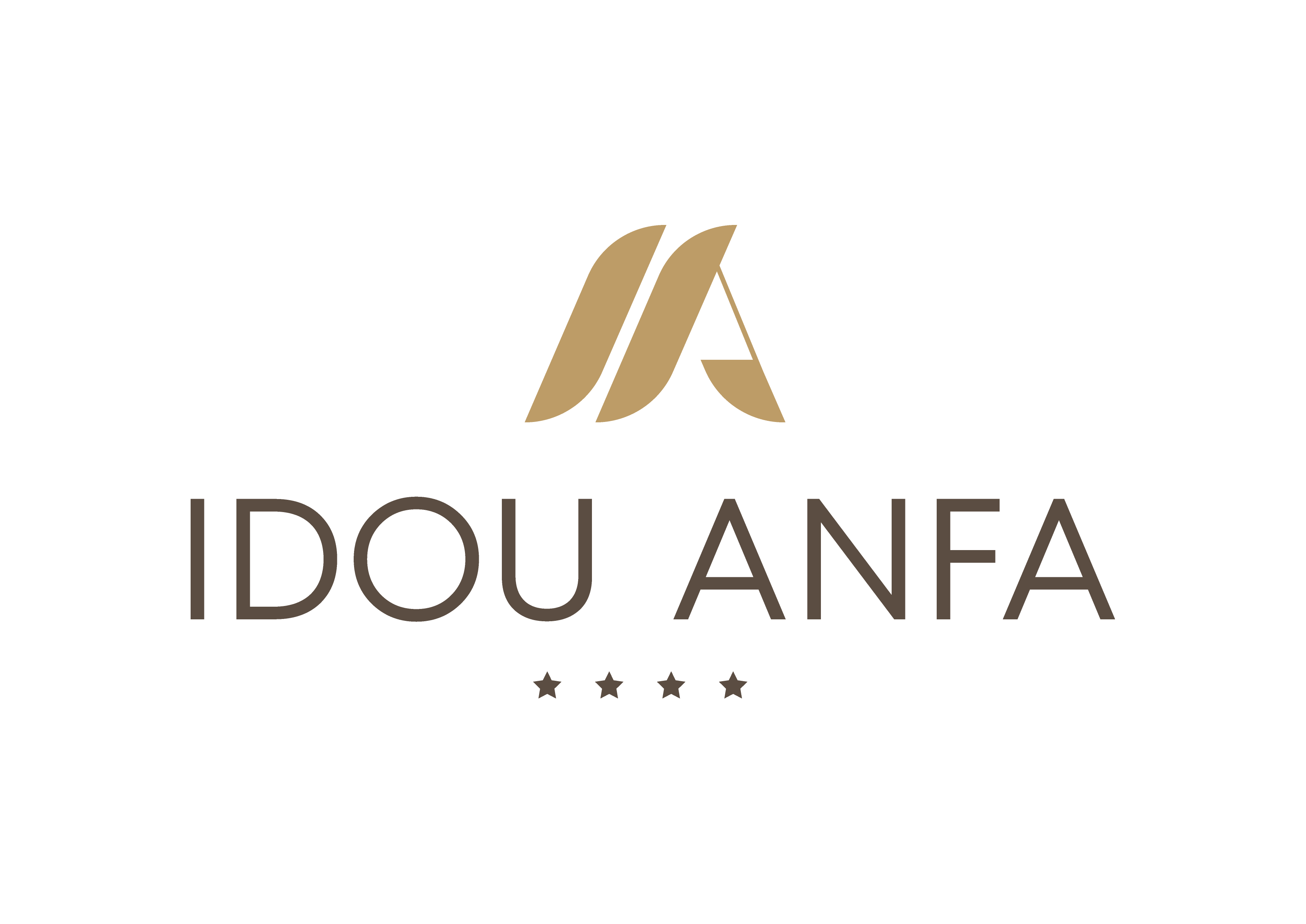 Hotel IDOU ANFA